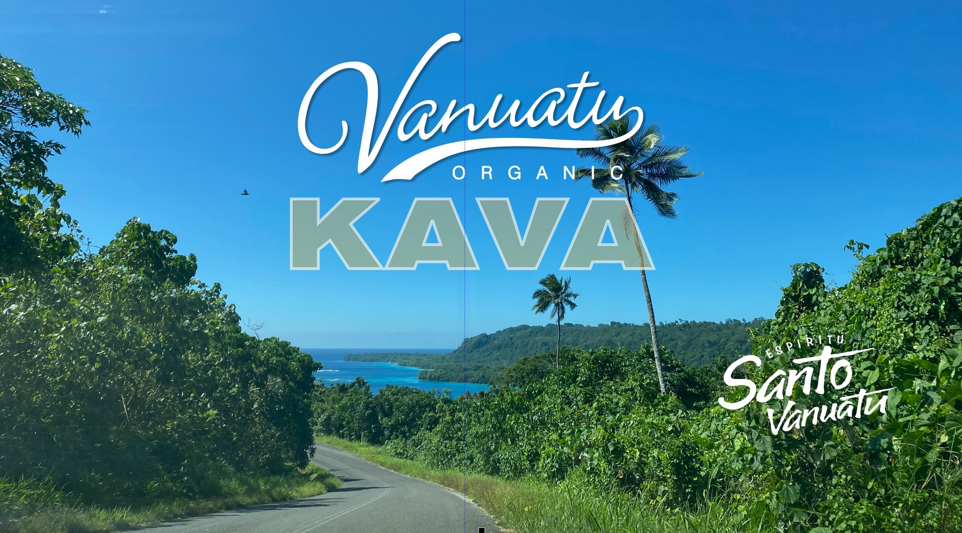 Vanuatu kava presentation